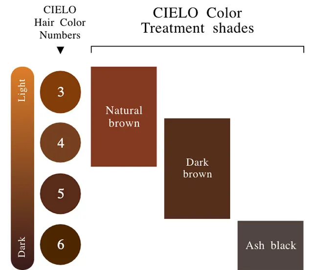 Light Dark CIELO Hair Color Numbers 3 4 5 6 CIELO Color Treatment shades Natural brown Dark brown Ash black